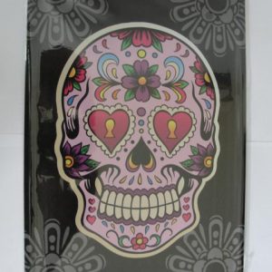 Placa Decorativa de Metal - Caveira