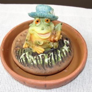Sapo em Resina