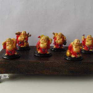 Mini Budas