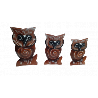Trio Coruja Galho