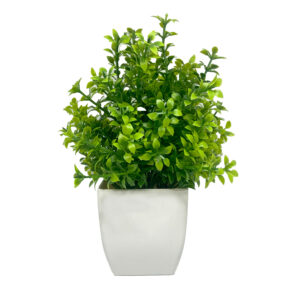 Mini Vaso Cachepot Plastico Com Buxus